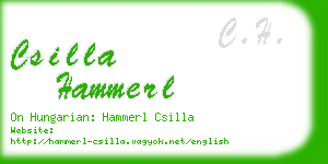 csilla hammerl business card